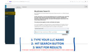 Michigan LLC name search